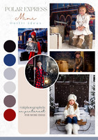Green Modern Festive Christmas Photoshoot Services Poster