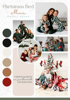 Green Modern Festive Christmas Photoshoot Services Poster - 4